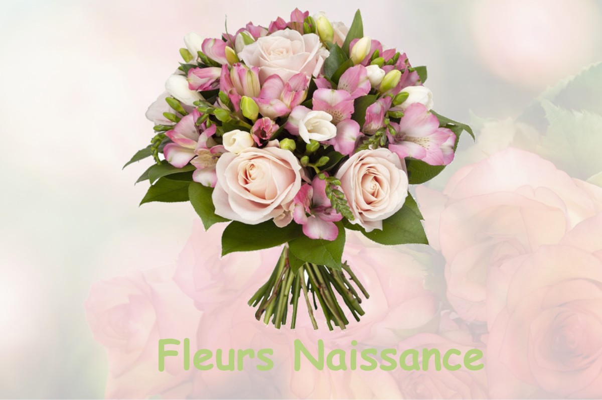 fleurs naissance MONTGAILLARD-SUR-SAVE