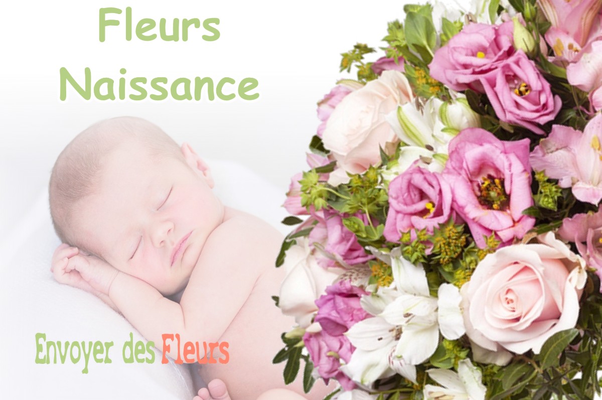 lIVRAISON FLEURS NAISSANCE à MONTGAILLARD-SUR-SAVE