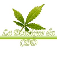 LA BOUTIQUE DU CBD MONTGAILLARD-SUR-SAVE 